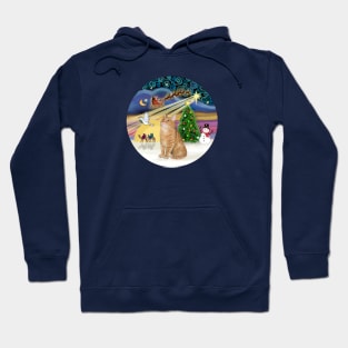 "Christ Magic" with an Orange Tabby Cat Hoodie